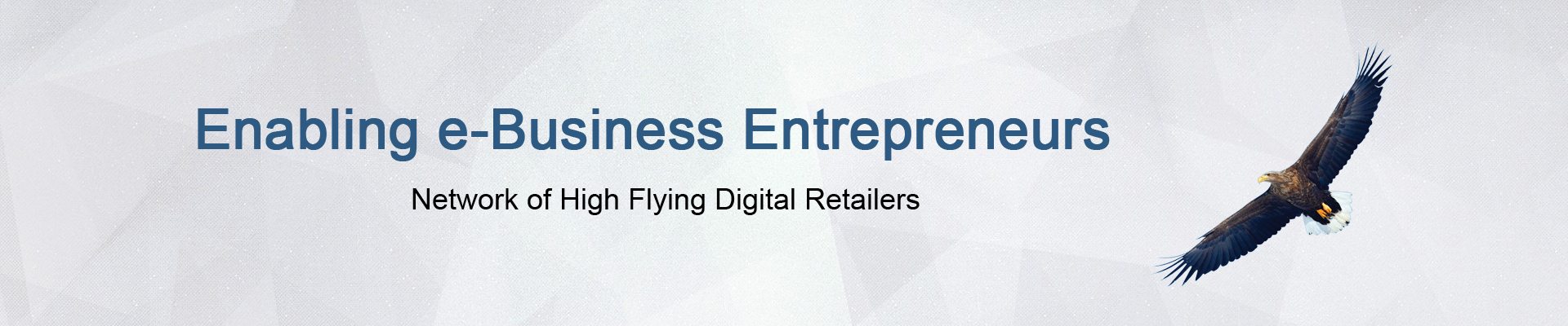Enabling e-Business Entrepreneurs